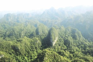 示意圖。（圖片來源：互聯網）