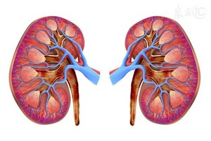 示意圖。（圖片來源：互聯網）