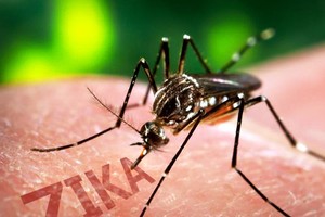 示意圖。（圖片來源：互聯網）