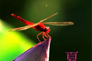 示意圖。（圖片來源：互聯網）