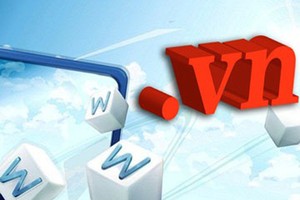 “.vn”域名（圖片來源：互聯網）