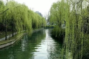 示意圖。（圖片來源：互聯網）