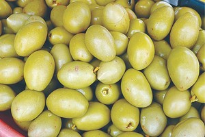 示意圖。（圖片來源：互聯網）