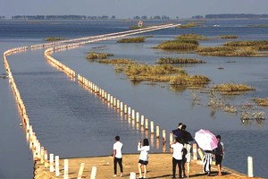 “最美水上公路”（圖片來源：互聯網）