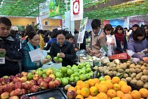 示意圖。（圖片來源：互聯網）