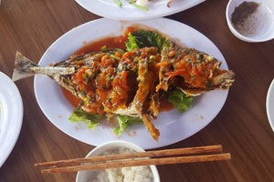 Đ.T.T.H提供的白鯧魚圖片（圖片來源：Đ.T.T.H的個人臉書）