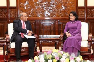 國家副主席鄧氏玉盛接見外賓。（圖片來源：互聯網）