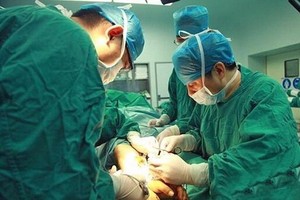 （示意圖源：互聯網）