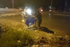 民眾幫助司機捉魚。