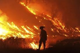 （圖源：互聯網。）