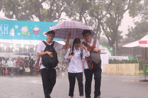 （圖源：互聯網。）