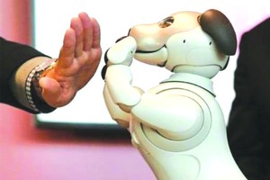 人工智能機器狗可與人交流情感。