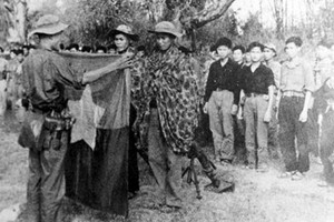 （圖源：互聯網。）