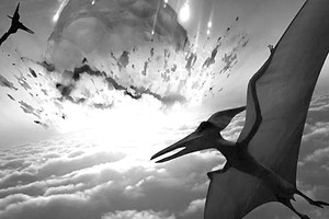 如果小行星撞地球人類會怎樣？