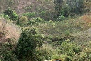 （圖源：互聯網）