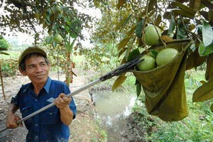 （圖源：互聯網）