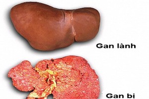 （圖源：互聯網）