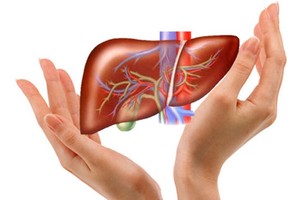 （圖源：互聯網）