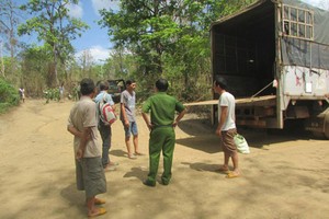 （圖源：互聯網）