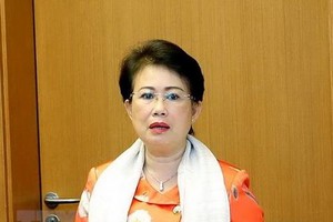 同奈省國會代表團長、省委副書記潘氏美清