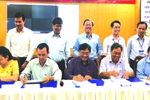 本市良好展開校園體育活動