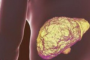 瞭解肝臟5個主要功能