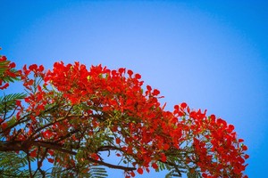 （示意圖源：互聯網）