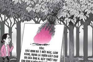 （示意圖源：互聯網）