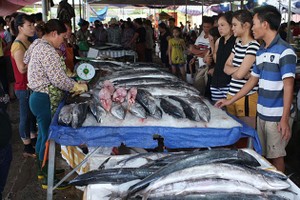 多種海產因捕撈量減少致價格上漲。