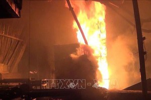 （圖源：TTXVN）