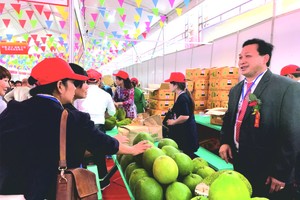 陳榮森（右）向中國消費者推介越南水果。