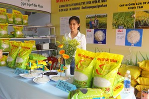 （示意圖源：互聯網）