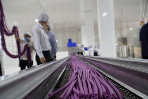 （圖源：互聯網）