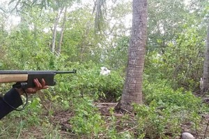 （圖源：互聯網）