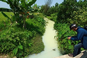 （圖源：互聯網）