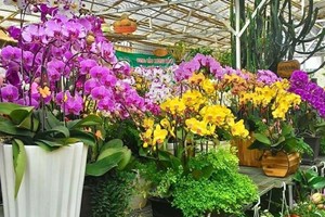 （示意圖源：互聯網）