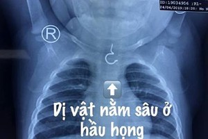 （圖源：互聯網）