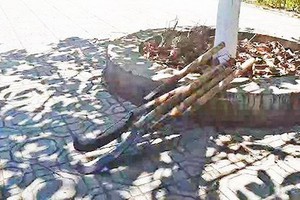 （圖源：互聯網）