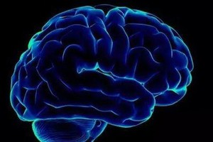 （示意圖源：互聯網） 