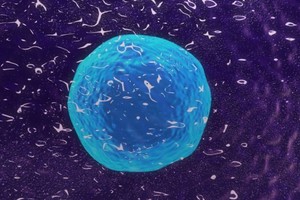 （圖源：互聯網） 