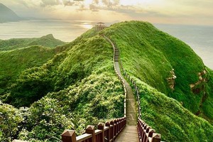 （圖源：互聯網） 