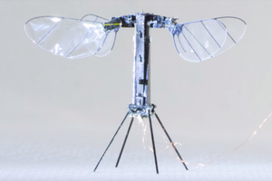 （圖源：互聯網） 