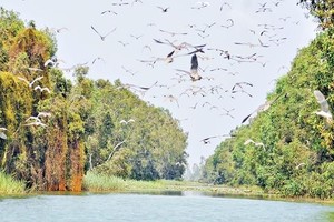 （圖源：互聯網） 