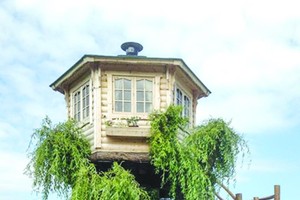 老人花 8000 英鎊建造完美樹屋