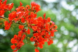 （示意圖源：互聯網） 