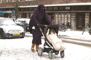 （圖源：互聯網） 