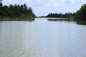 （圖源：互聯網） 