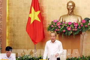 政府副總理張和平（圖源：TTXVN） ）