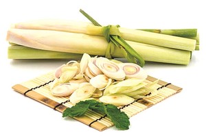 （示意圖源：互聯網）