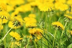 （示意圖源：互聯網）